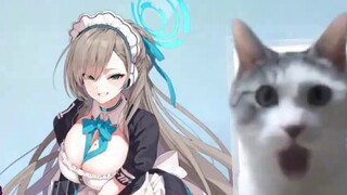 [Ready Meat] Reasons Everyone Should Play Azure Files | Cat Meme