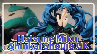 Hatsune Miku|【Đập hộp 】Mô hình GK Shinkai Shoujo