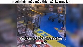 nhà có con mồn lèo thích xài ké máy lạnh nhà người khác :vvv