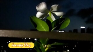 evening time.