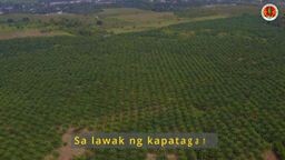 maguindanao del sur lyric#