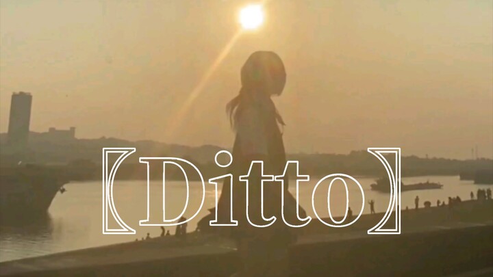 〖Ditto〗 dari ubur-ubur