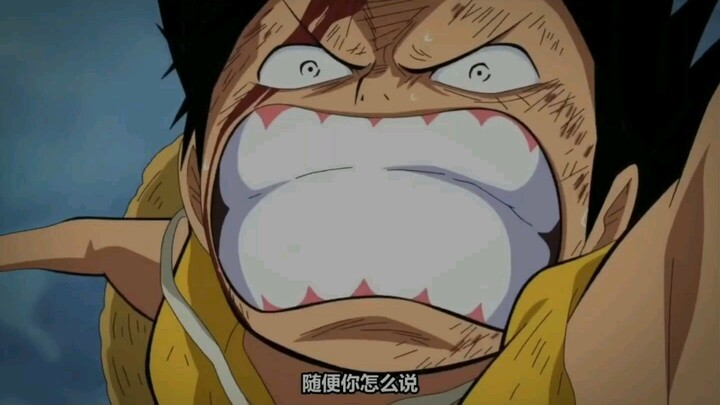 onepiece!!!!