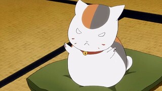 [Cuốn sách về những người bạn của Natsume] Bản lĩnh cứng cỏi của Sensei!