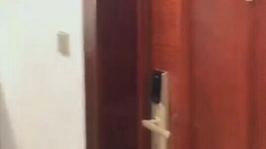 إذا كان لديك زوجة يابانية