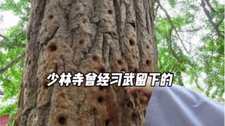 个子……确实有点高啊！