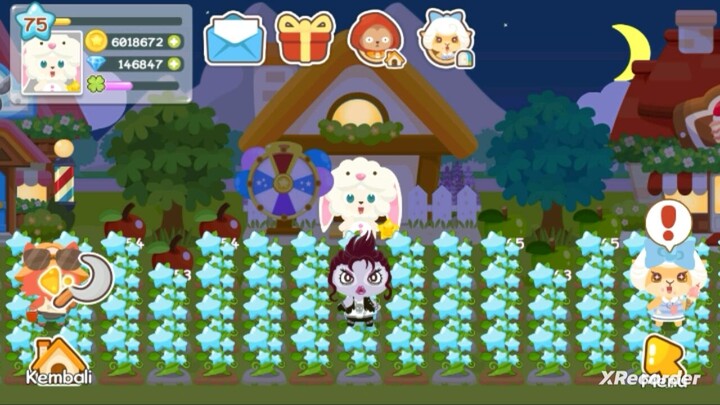 Cara menanam tanaman bintang | happy pet story