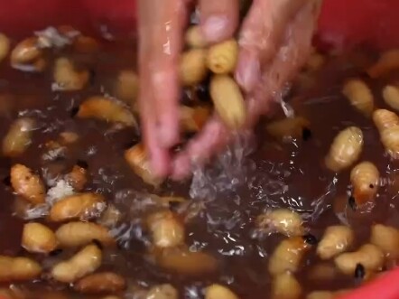 Grandpa, today we’re eating fried bamboo worms!