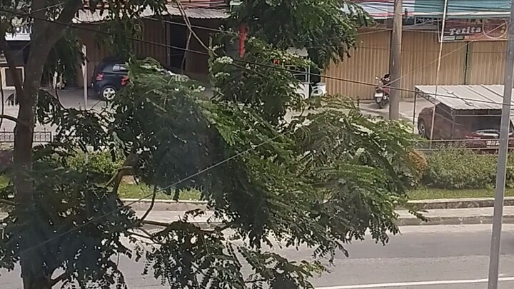 Di mana ini?