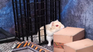 ภารกิจของหนูแฮมสเตอร์ EP 150 the Poppy playtime