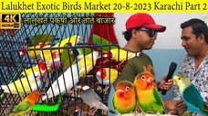 Lalukhet Exotic Parrot and Bird Market 20-8-23 Karachi Part 2 拉鲁凯特珍奇鸟类和鹦鹉市场