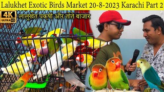 Lalukhet Exotic Parrot and Bird Market 20-8-23 Karachi Part 2 拉鲁凯特珍奇鸟类和鹦鹉市场
