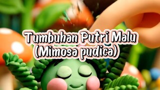 Tumbuhan Putri Malu (Mimosa pudica) 🌿 ✨