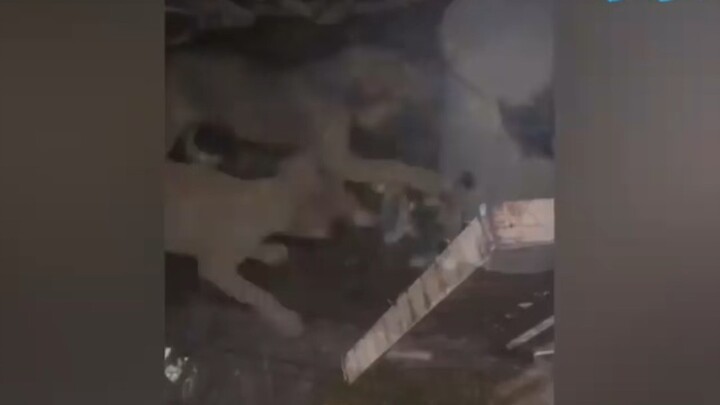 Ủa rồi mắc gì chọc t 🙂