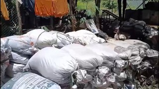 菲律宾铜矿出口