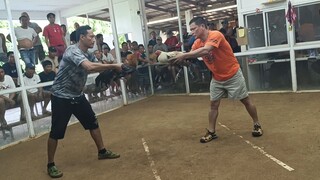 agresibo