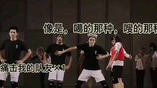 【排球少年/兔赤】猫头鹰饲养员的日常