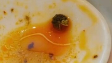 Dễ thương quá nhỉ, chia sẻ cho ai bây giờ? Thôi bỏ đi, chắc người ta thấy chả có gì thú vị đâu.