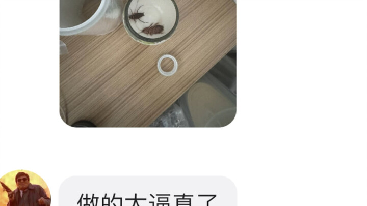 أذكر أنني لم أصنع كوبًا على شكل صرصارين من قبل (´･_･`)