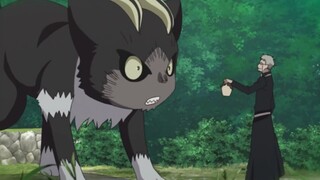 黑猫苦等主人18年，竟黑化变成了恶魔