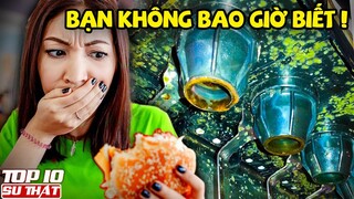 10 Bí Mật Gây "S.Ố.C" mà Các Cửa Hàng ĐỒ ĂN NHANH Không Muốn Bạn Biết ▶ Top 10 Sự Thật Thú Vị