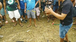 talo nanaman