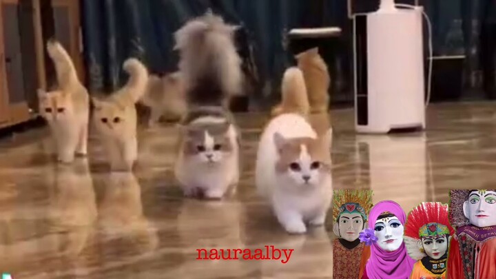 Ondel Ondel Suka Liat Kucing Lucu