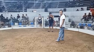 lucena pride # Boston RH @ igay cockpit arena