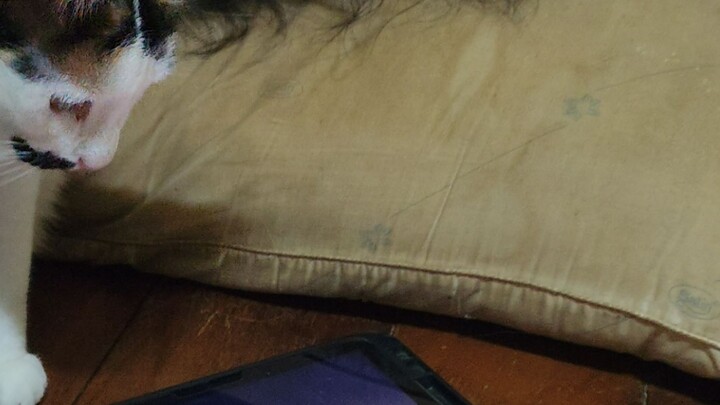 เด็กติดจอ