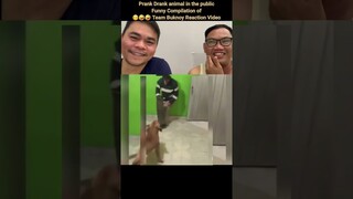 Animal Prank drunk on Public Funny Compilation 😆🤣🤣 Team Buknoy Reaction Video