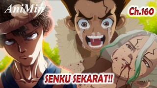 SENKU Sekarat!! CHROME Menggantikan SENKU Sebagai Ilmuan | Dr. Stone Chapter 160