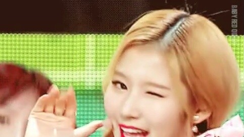 [ซานะ] คุณอยากจะเลี้ยงชิบะอินุสาวแสนหวานน่ารักไว้ที่บ้านไหม (คำเตือนสุดท้ายเกี่ยวกับพลังงานสูง!)