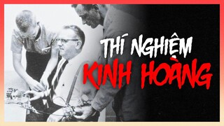 3 THÍ NGHIỆM TÂM LÝ vượt quá GIỚI HẠN ĐẠO ĐỨC