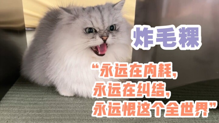 【ช่วยกั๋วไถ】ท่าทีของกั๋วกั๋วต่อสมาชิกใหม่: “เกลียดทุกคนอย่างเท่าเทียม” (ไลฟ์ผ่านกล้อง – ตอนบ๊ะจ่างขา