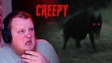 3 Disturbing TRUE Dog Walking Horror Stories (Mr Nightmare) REACTION!!!!