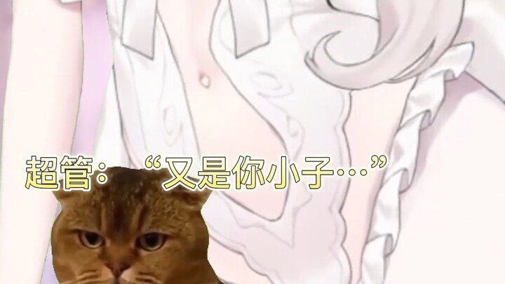 حياة امرأة عنيدة خاضت 300 جولة قتال ضد المشرفين العظماء 👠