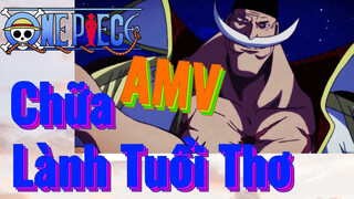 [Đảo Hải Tặc] AMV | Chữa Lành Tuổi Thơ