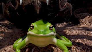 Is the frog a pet of the wolf spider?