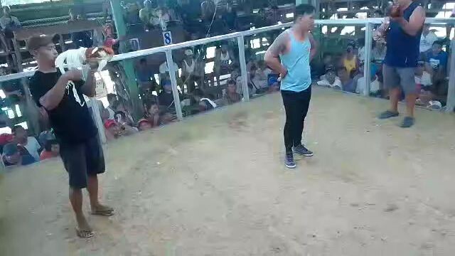 catanauan Quezon 2 cock ulotan first fight