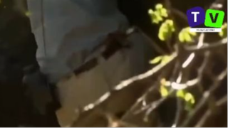 Review sinh tồn_Kỹ Năng Sinh Tồn Cùng Bear Grylls - Sinh Tồn Giữa Bầy Thú Ăn Thịt Châu Phi p7