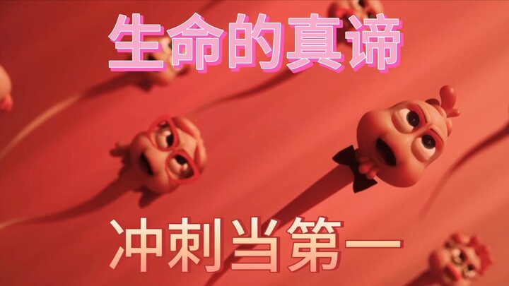 การผจญภัยของสเปิร์ม