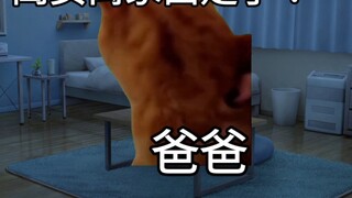 【Cat meme】My whole family thought I ran away from home without my knowledge (Part 2)