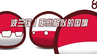 波兰球丨那些相似的国旗