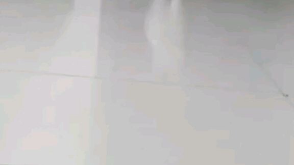 Jalan jalan ke pasar baru