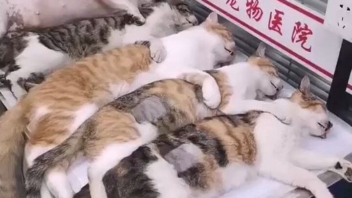 ก่อนเข้าไปเป็นเพื่อนรัก หลังออกมาเป็นพี่น้องรัก