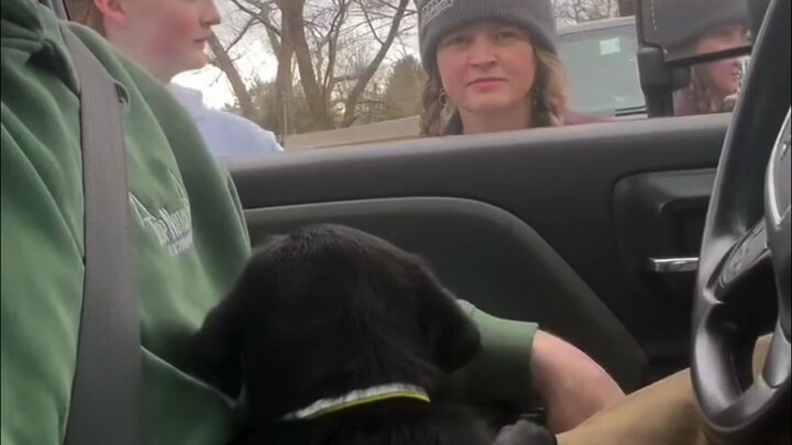 Ketika Ayah Memutuskan Membawa Seekor Anak Anjing Pulang ke Rumah