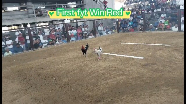 WWL 3 hits timbangan @VSC 03-17-26