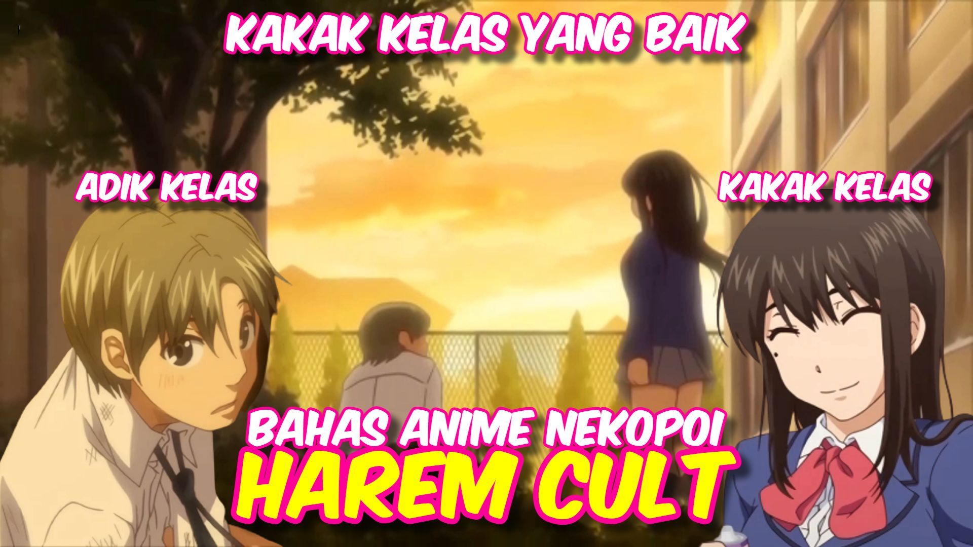 Anime harem cult