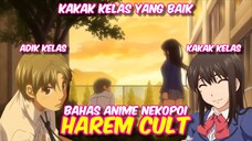 BAHAS ANIME - HAREM CULT