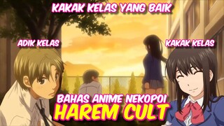 BAHAS ANIME - HAREM CULT